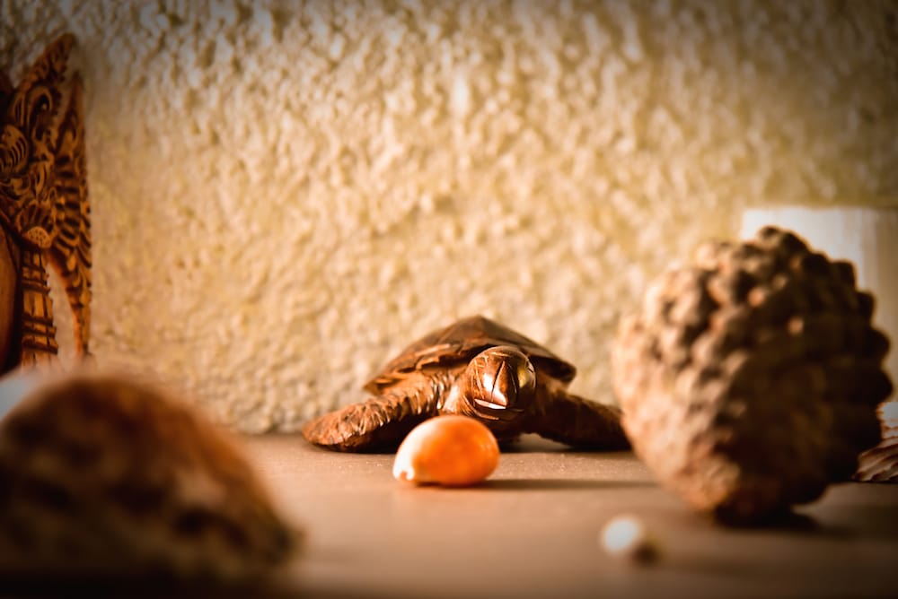 Espace zen à Perpignan