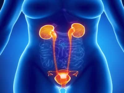 soins ostéopathiques et système digestif à Perpignan