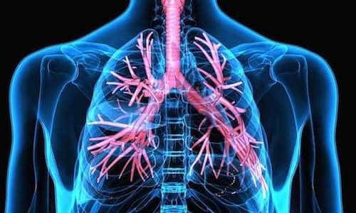 problème respiratoire, cancer du poumon ? Soins ostéopathiques du système respiratoire à Perpignan